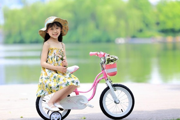 Велосипед Royal Baby Little Swan Steel 14